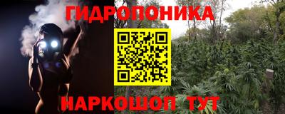 крисы Гусь-Хрустальный