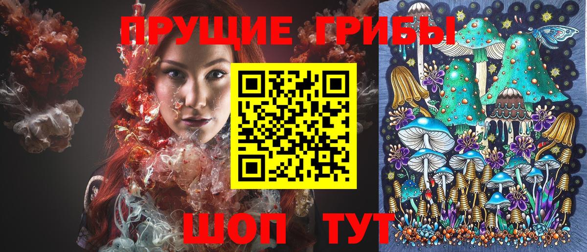 Псилоцибиновые грибы GOLDEN TEACHER Можайск